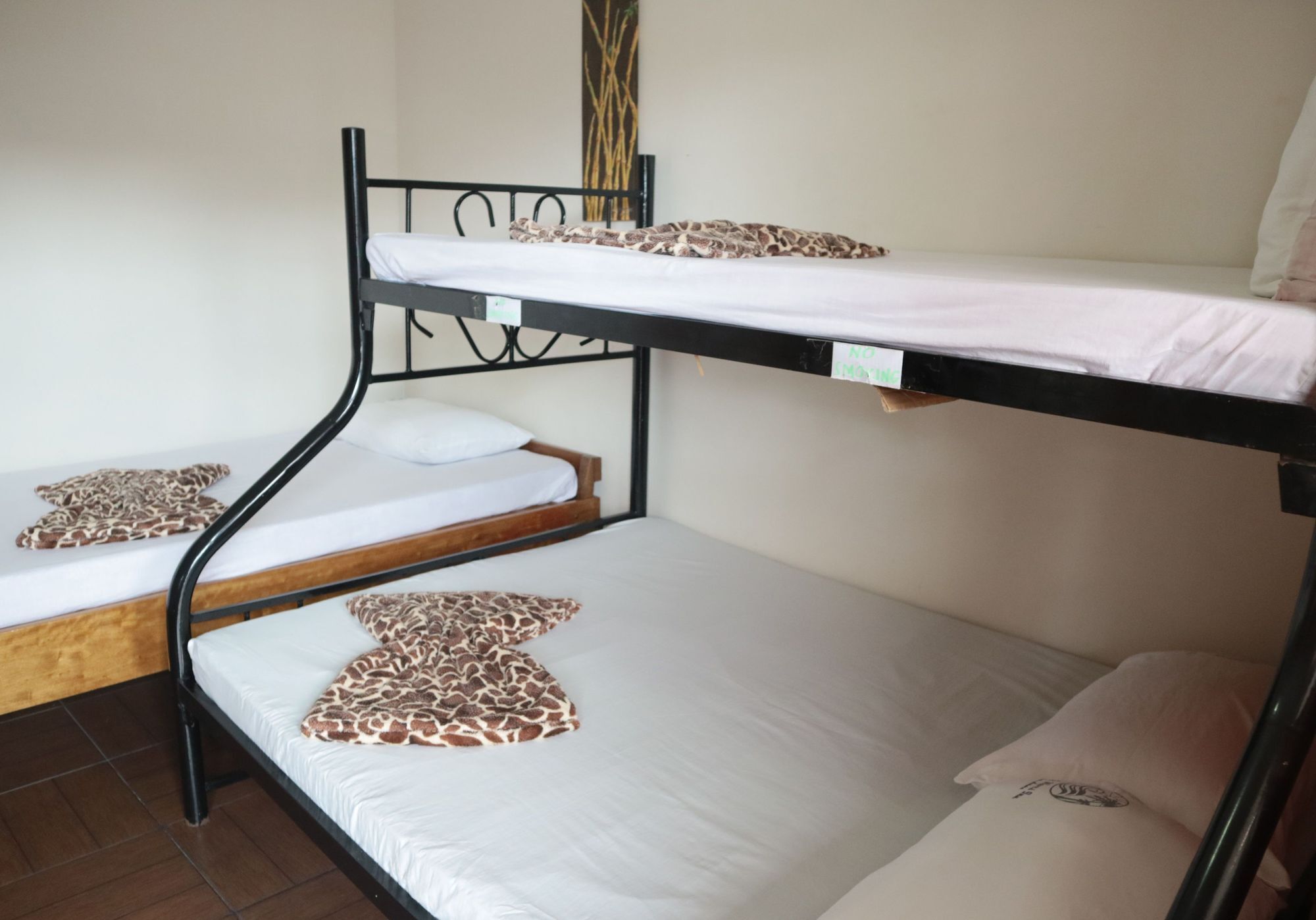 Pacific Waves Inn Baler Εξωτερικό φωτογραφία
